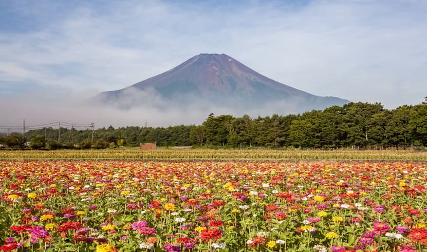TOKYO FUJI SUMMER FREEDAY 5D 3N BY XJ -- JUN - SEP'25 -- ซุปตาร์ ซัมเมอร์ ฟรีเดย์ ผจญภัยโตเกียวสุดฟิน