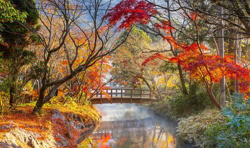 TOKYO IBARAKI KAWAGOE FUJI AUTUMN 5D 3N BY XJ -- OCT'25 --- ซุปตาร์...ซุปตาร์หนุ่มเมืองเก่ากับสาวบุษบา