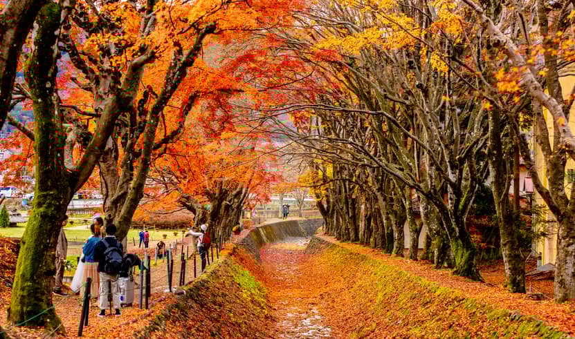 ทัวร์ญี่ปุ่น โตเกียว โยโกฮาม่า 6 วัน 4 คืน XJ285 ภูเขาไฟฟูจิ พระใหญ่อุชิคุ ไดบุสสึ บิน XJ (DMK)