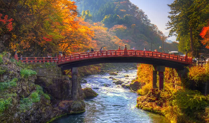 ทัวร์ญี่ปุ่น โตเกียว นิกโก้ 5 วัน 3 คืน XJ286 วาโกเอะ ศาลเจ้าโทโชคุ บิน XJ (DMK)