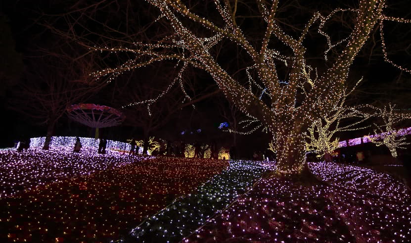 โตเกียว ฮาเนดะ ฟูจิ โอไดบะ เทศกาลไฟซากามิโกะ (เที่ยวอิสระ 1 วัน)