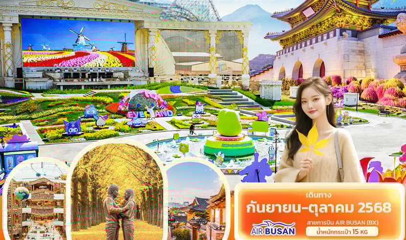 Chic & Classic KOREA SEOUL NAMI EVERLAND 5วัน 3คืน