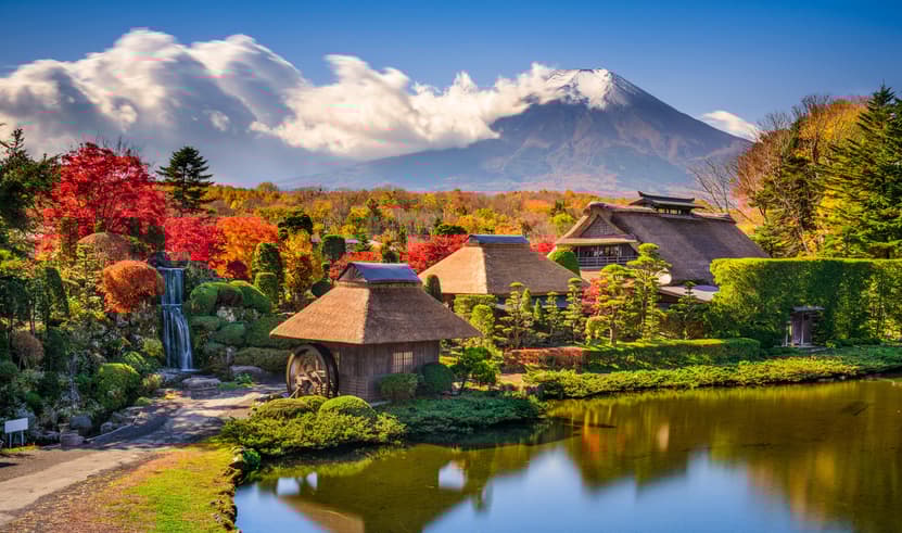 Amazing Autumn TOKYO FUJI NIKKO IBARAKI 5วัน 3คืน