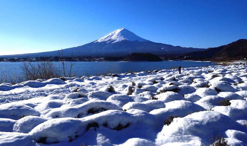 Snow Delights TOKYO FUJI KAWAGOE FUJITEN SNOW 6วัน 4คืน