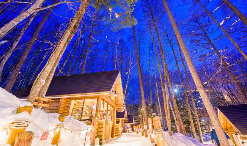 Snow must go on HOKKAIDO SAPPORO ASAHIKAWA OTARU 6วัน 4คืน