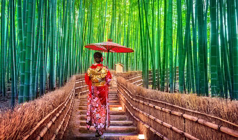 JXJ249 Autumn feels Better in..OSAKA TOKYO NARA KYOTO SHIRAKAWAGO FUJI 6วัน 4คืน