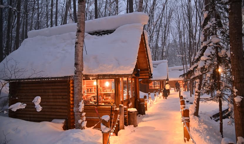 มหัศจรรย์...HOKKAIDO โทมามุ ซัปโปโร NEW YEAR FREEDAY 6 วัน 4 คืน