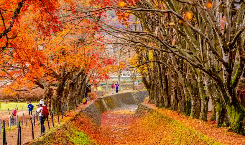 ทัวร์ญี่ปุ่น โตเกียว 5 วัน 3 คืน BT-NRT_A03_XJ ฟูจิ นาริตะ นิกโก้ บิน XJ (DMK)