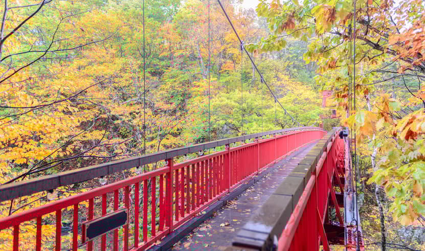 ทัวร์ญี่ปุ่น ฮอกไกโด 5 วัน 3 คืน BT-CTS_A01_XJ โจซังเค โนโบริเบทสึ ซัปโปโร บิน XJ (DMK)