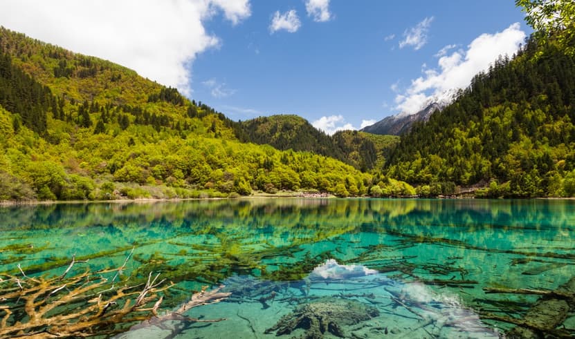 ทัวร์จีน เฉิงตู 5 วัน 4 คืน อุทยานหวงหลง อุทยานจิ่วจ้ายโกว บิน SL (DMK)