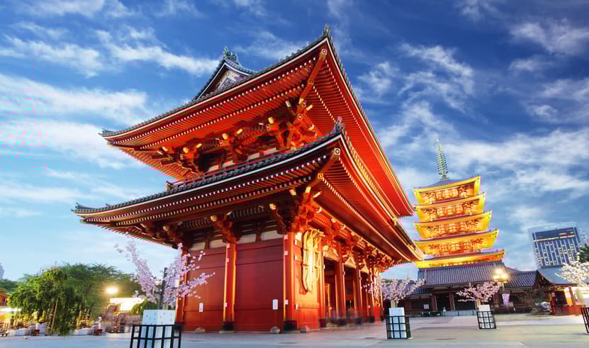GO2NRT-TG088 HAKUBA IWATAKE SHIRAKAWAKO SAKURA 6D 4N  โดยสายการบินไทย [TG]