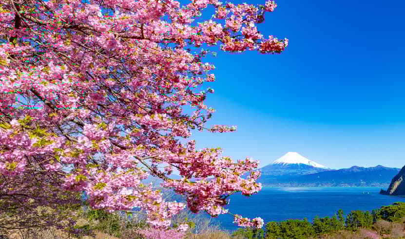 ทัวร์ญี่ปุ่น โตเกียว 6 วัน 4 คืน หมู่บ้านโอชิโนะฮัคไค วัดอาซากุสะ บิน TG (BKK)