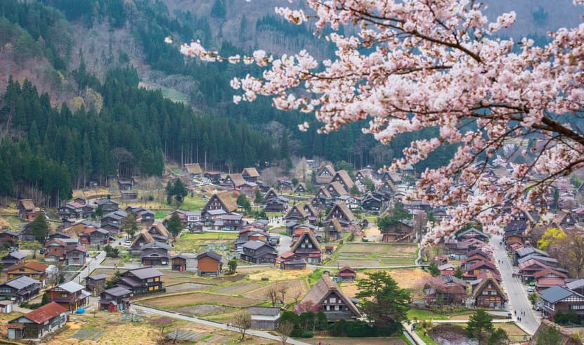 ทัวร์ญี่ปุ่น โตเกียว ทาคายาม่า 7 วัน 4 คืน ชิราคาวาโกะ โอชิโนะฮัคไค บิน TG (BKK)