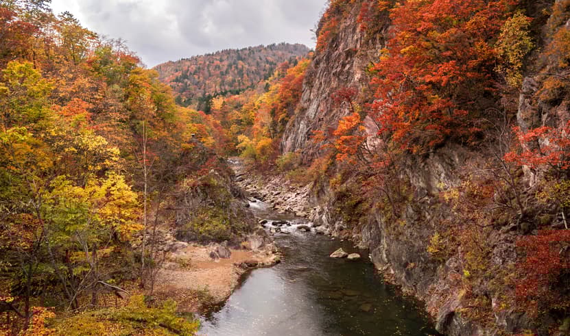 GO2CTS-TG049 HOKKAIDO HAKODATE JOZANKEI ดาเตะจิไดมุระ 6D 4N โดยสายการบินการบินไทย [TG]
