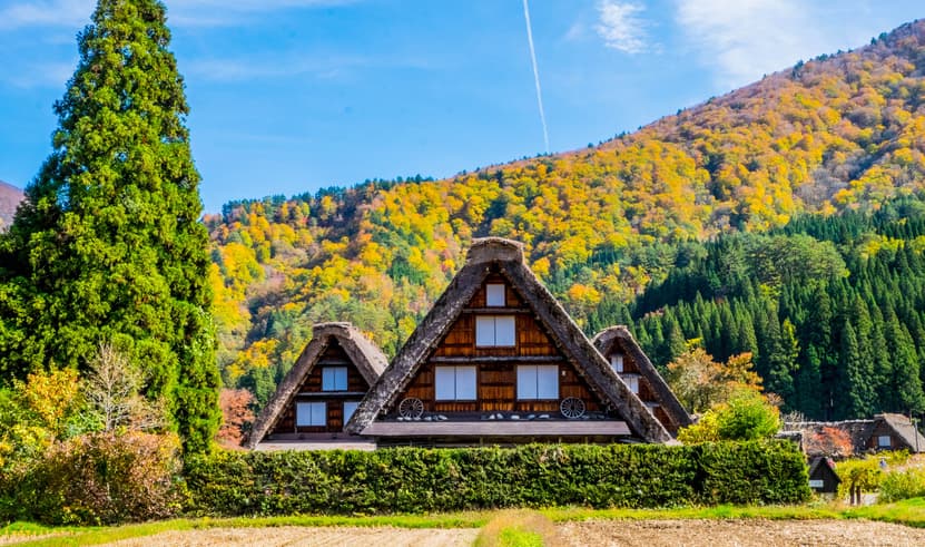 GO2NGO-TG067 TAKAYAMA KAMIKOCHI FUJI TOKYO  7D 4N โดยสายการบินไทย [TG]