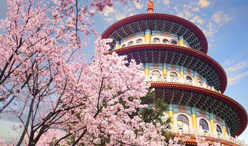 มหัศจรรย์..TAIPEI SAKURA 2026 บินคุ้ม เที่ยวครบ 4 วัน 3 คืน