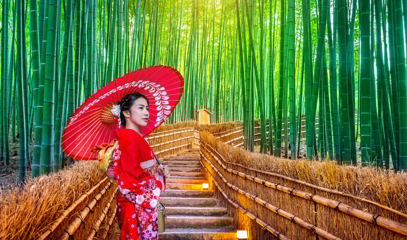 ทัวร์ญี่ปุ่น โอซาก้า ทาคายาม่า เกียวโต 6 วัน 4 คืน หมู่บ้านชิราคาวาโกะ ป่าไผ่อาราชิยาม่า บิน XJ (DMK)