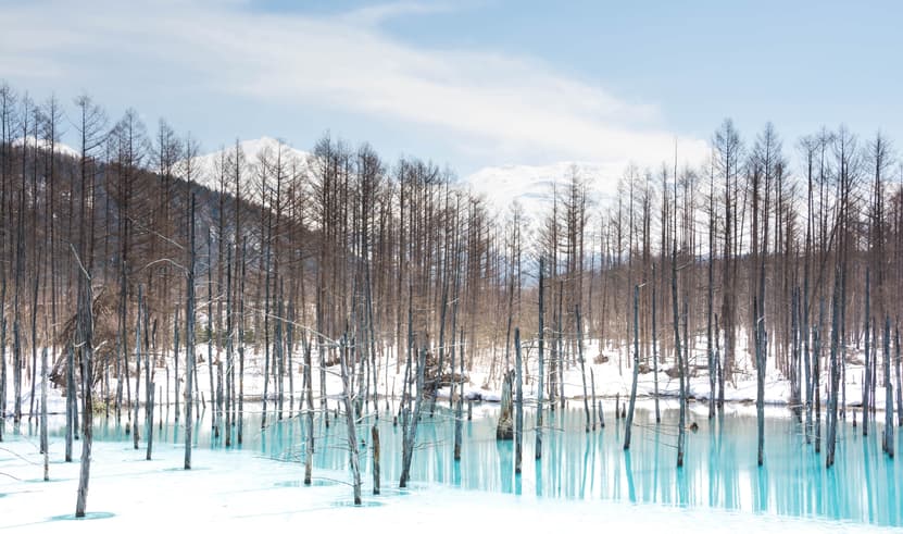 ทัวร์ญี่ปุ่น ฮอกไกโด 6 วัน 4 คืน บ่อน้ำสีฟ้า นิงเกิ้ลเทอเรซ บิน XJ (DMK)