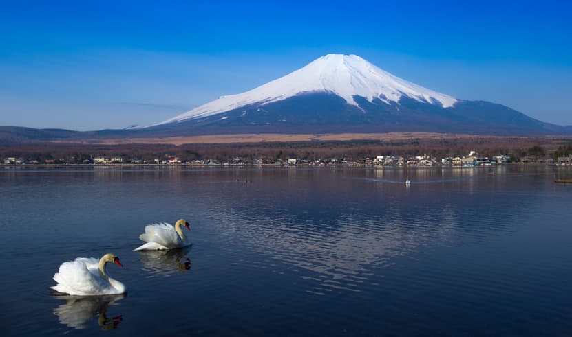 ทัวร์ญี่ปุ่น โตเกียว 4 วัน 3 คืน หุบเขาโอวาคุดานิ สวนโออิชิ บิน SL (DMK)