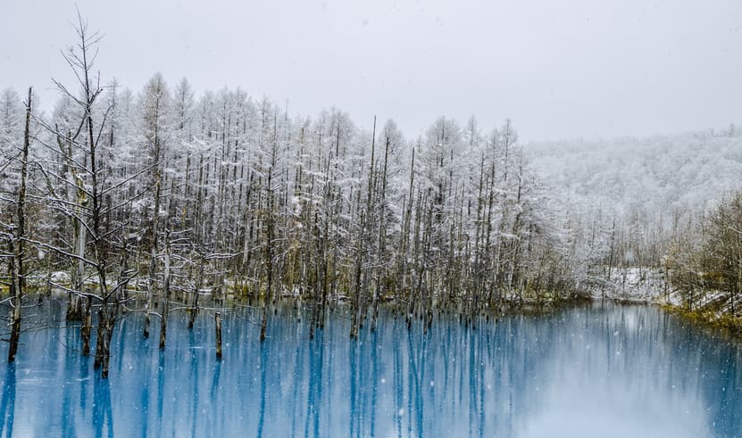 ทัวร์ฮอกไกโด 6 วัน 4 คืน ฟูราโน่ บิเอะ อาซาฮิกาว่า โอตารุ ซัปโปโร พักอาซาฮิกาว่า 1 คืน บิน VZ (BKK)