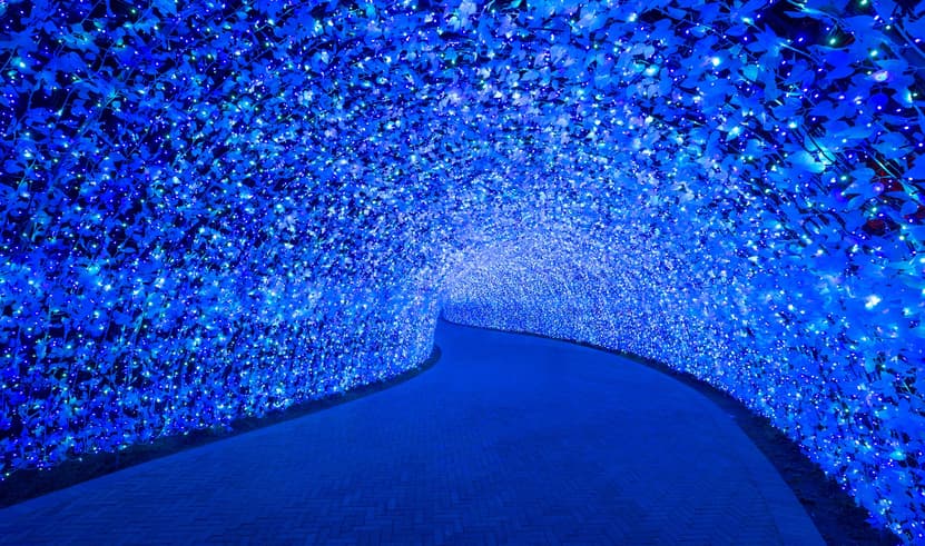 ทัวร์ญีปุ่น โอซาก้า โตเกียว 6 วัน 4 คืน ตลาดคุโรมง ย่านชินไซบาชิ งานประดับไฟ เก่าซันมาชิซึจิ บิน XJ (DMK)