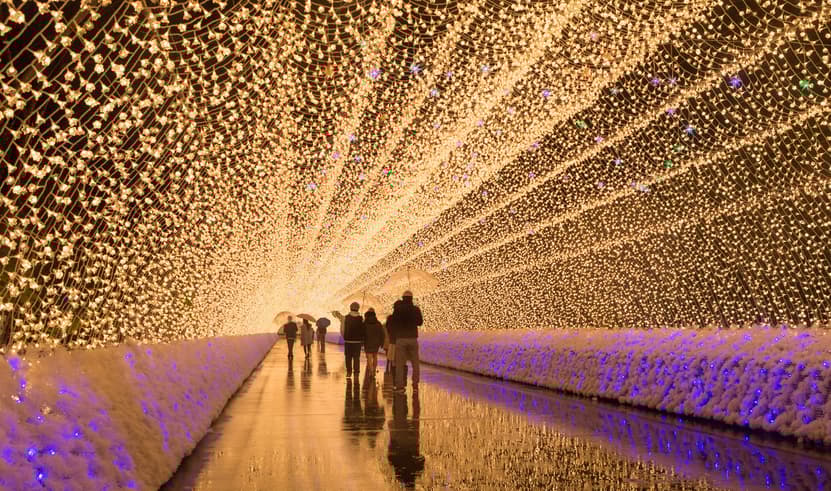 ทัวร์ญี่ปุ่น โอซาก้า เกียวต 6 วัน 4 คืน GO2NGO-TG077 งานประดับไฟ ศาลเจ้าอิเสะ เกาะไข่มุกมิกิโมโตะ วัดเบียวโดอิน  บิน TG (BKK)