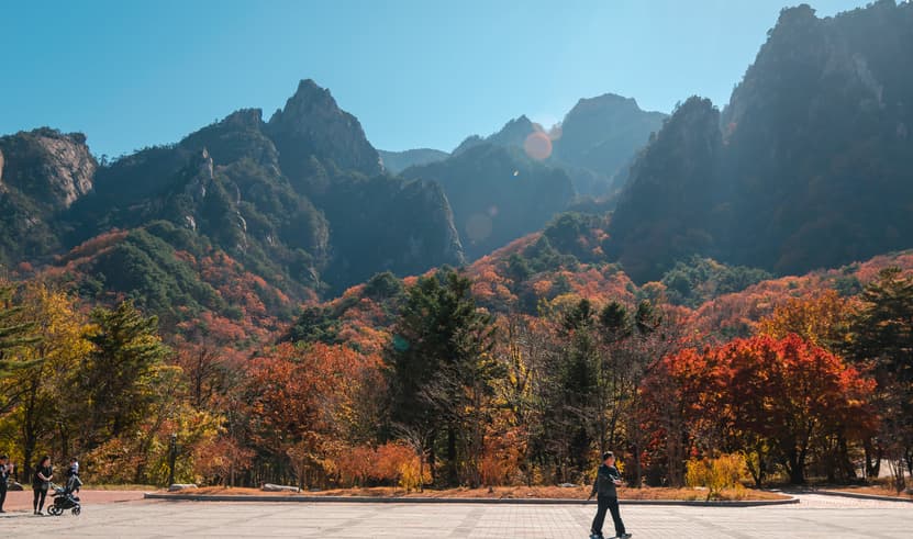 ทัวร์เกาหลี โซล 5 วัน 3 คืน WEKR-CNXSAS2025 อุทยานแห่งชาติซอรัคซาน เอเวอร์แลนด์ธีมปาร์ค พระราชวังเคียงบกกุง พิพิธภัณฑ์สาหร่าย บิน  7C (CNX)