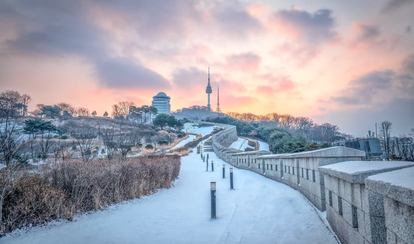 ทัวร์เกาหลี โซล 5 วัน 3 คืน WEKR-HKTSS2025 GOLDEN TREE CAFE เอเวอร์แลนด์ธีมปาร์ค พระราชวังเคียงบก เมียงดง บิน OZ (HKT)