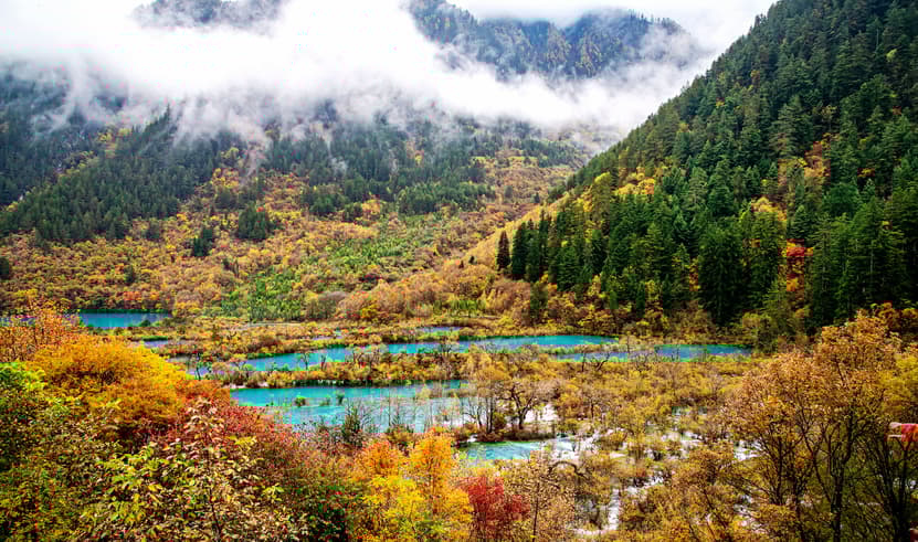 ทัวร์จีน เฉิงตู 5 วัน 4 คืน CEUTFU2 ถนนโบราณจิ๋นหลี่ อุทยานหวงหลง ซอยกว้างซอยแคบ แพนด้ายักษ์ปีนตึก บิน EU (BKK)