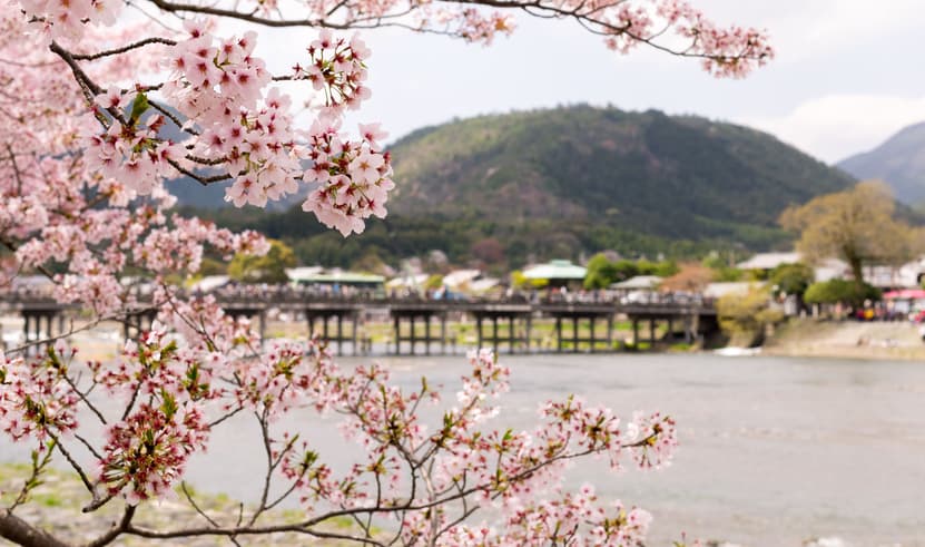ทัวร์ญี่ปุ่น โอซาก้า โตเกียว GO2KIX-TG075 สะพานโทเก็ตสึเคียว  อาริยามะ วัดคิโยะมิซุ วัดอาซากุซะ บิน TG (BKK)