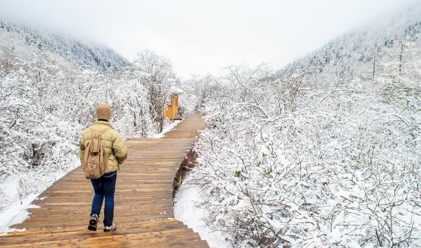 ทัวร์จีน เฉิงตู 5 วัน 4 คืน ZGTFU-2553MU อุทยานภูเขาสี่ดรุณี หุบเขาชวงเฉียวโกว สะพานโบราณหนานเฉียว ซอยกว้างซอยแคบ บิน MU (BKK)