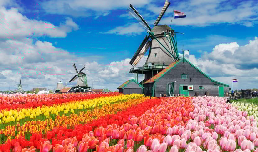 ทัวร์ยุโรป เบลเยียม เนเธอร์แลนด์  ฝรั่งเศส 8 วัน 5 คืน ZGAMS-2601SQ หมู่บ้านกีธูร์น สวนเคอเคนฮอฟ ล่องเรือหลังคากระจก หมู่บ้านกังหันลมซานส์สคันส์ บิน SQ (