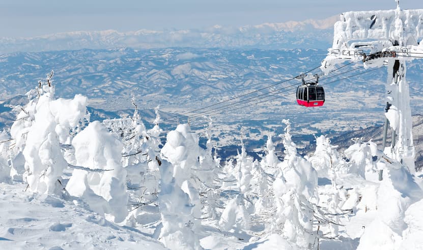 ทัวร์ญี่ปุ่น เซนได 5 วัน 3 คืน ZGSDJ-2603HB หมู่บ้านสุนัขจิ้งจอกแห่งซาโอะ ภูเขาซาโอะ ช้อปปิ้งย่านอิจิบังโจ กินซังออนเซ็น  บิน HB (BKK)