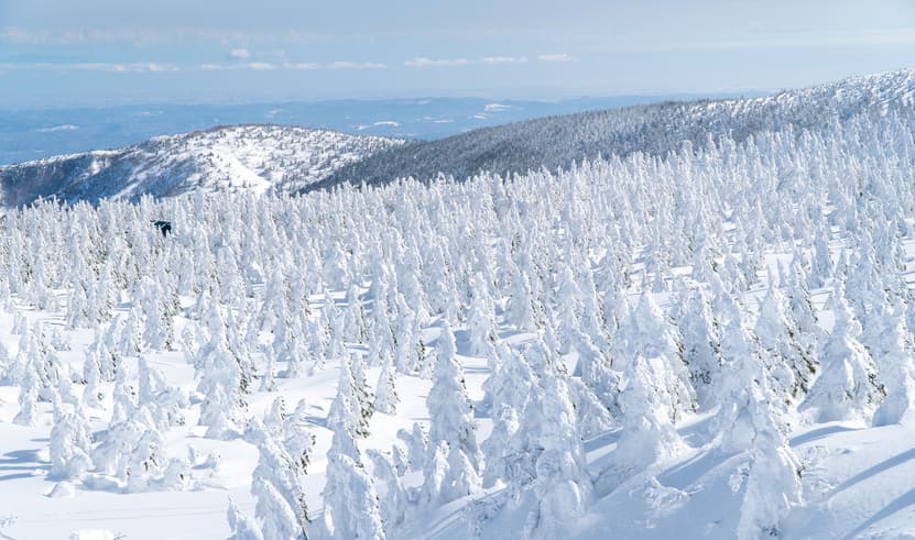 ทัวร์ญี่ปุ่น เซนได 6 วัน 4 คืน ZGSDJ-2601BR หมู่บ้านโออุจิจูคุ ทะเลสาบอินะวะชิโระ ถนนคลิสโรด หมู่บ้านสุนัขจิ้งจอก บิน BR (BKK)