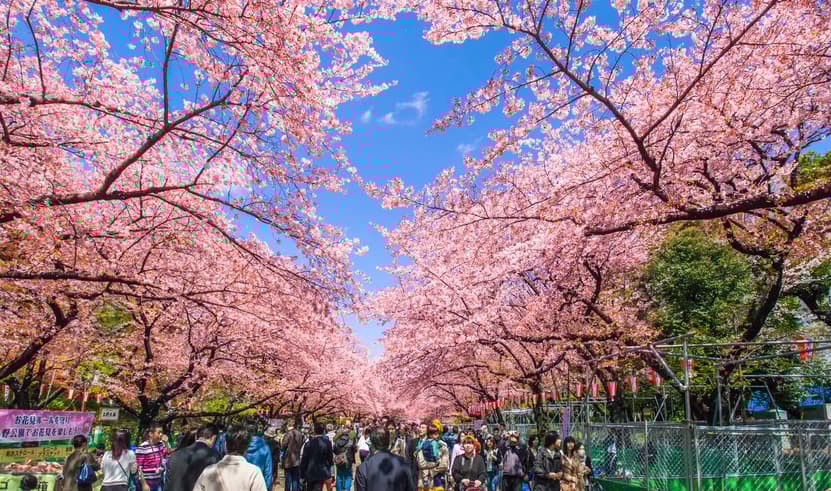 ทัวรืญี่ปุ่น โตเกียว ZGHND-2609NH พระใหญ่อุชิคุ ไดบุตสึ ภูเขาไฟฟูจิ (ชั้นที่5) ศาลเจ้าโคมิตาเคะ ชินจูกุ บิน NH (BKK)