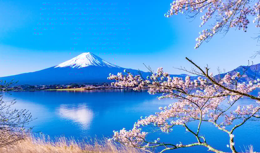 ทัวร์ญี่ปุ่น โตเกียว 6 วัน 4 คืน XJ333 ศาลเจ้าสีรุงะโอะกะฮะจิมัง โอชิโนะฮัคไค ศาลเจ้าฮิเอะ ตลาดปลาโทโยซุ บิน XJ (DMK) 