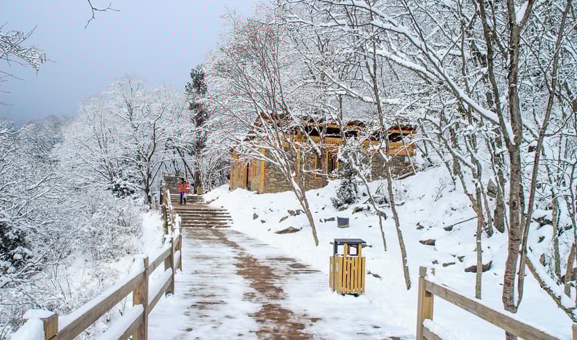 ทัวร์จีน เฉิงตู 4 วัน 3 คืน อุทยานสี่ดรุณี หุบเขาชวงเฉียวโกว ถนนชุนซีลู่ แพนด้าปีนตึก บิน 3U (BKK)