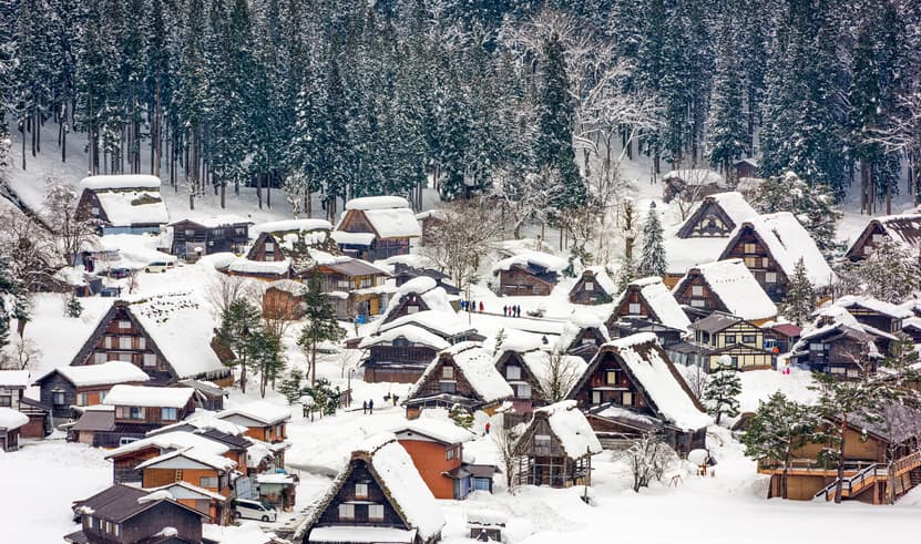 ทัวร์ญี่ปุ่น โอซาก้า เกียวโต 5 วัน 3 คืน ZGKIX-2608MM ชิราคาวาโกะ ช้อปปิ้งชินไซบาชิ นาบานาโนะซาโตะ ฟูชิมิอินาริ วัดคิโยมิสึ บิน MM (BKK)