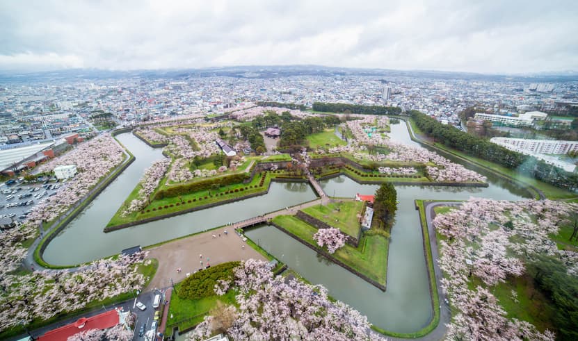 ทัวร์ญี่ปุ่น ฮอกไกโด 6 วัน 4 คืน GO2CTS-TG063 ป้อมโกะเรียวคะคุ เนินพระพุทธเจ้า ฟาร์มหมีสีน้ำตาล บิน TG (BKK)