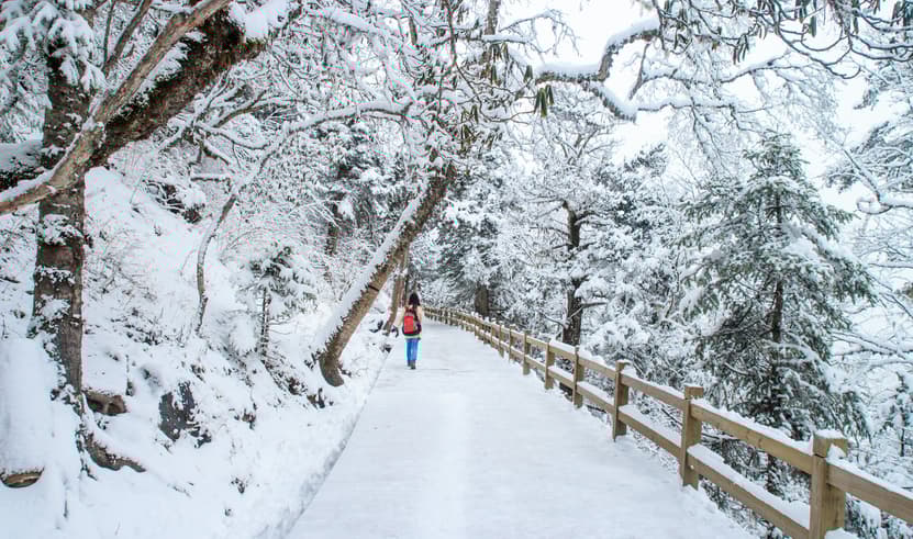 ทัวร์จีน เฉิงตู 4 วัน 2 คืน TFU46 ภูเขาหิมะวาวู่ ซอยแคบซอยกว้าง วัดต้าฉือ ถนนคนเดินชุนซีลู่ บิน 3U (BKK)