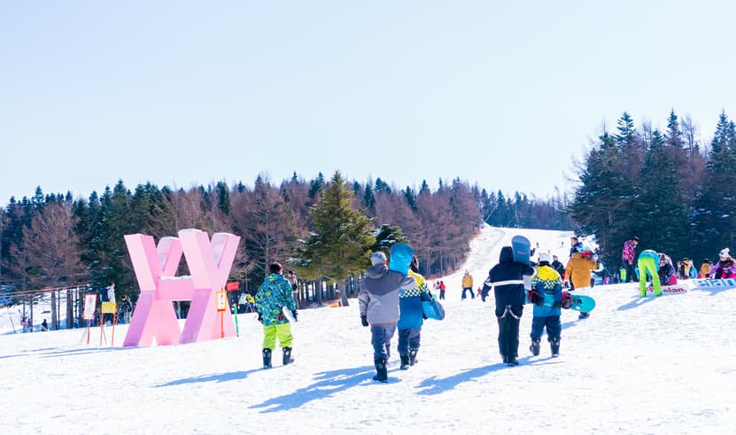 ทัวร์ญี่ปุ่น โตเกียว 5 วัน 3 คืน ZGNRT-2602VZ วัดอาซากุสะ ถนนนาคามิเซ ช้อปปิ้งชินจูกุ มัตสึดะซากุระ บิน VZ (BKK)