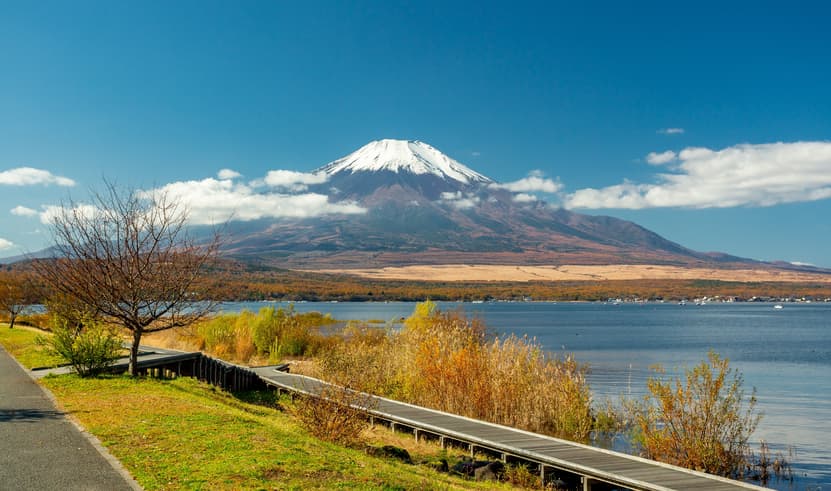 ทัวร์ญี่ปุ่น โตเกียว 5 วัน 3 คืน GO2NRT-XJ044 งานเทศกาลประดับไฟ คาวาโกเอะ วัดอาซากุสะ อิสระช้อปปิ้งในโตเกียว 1 วัน บิน XJ (DMK)