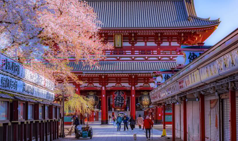 ทัวร์ญี่ปุ่น โตเกียว 6 วัน 4 คืน GO2NRT-TG092 วัดอาซากุสะ ศาลเจ้าโทโชคุ เอโดะ วันเดอร์แลนด์ หมู่บ้านน้าใส โอชิโนะฮักไก บิน TG (BKK)     