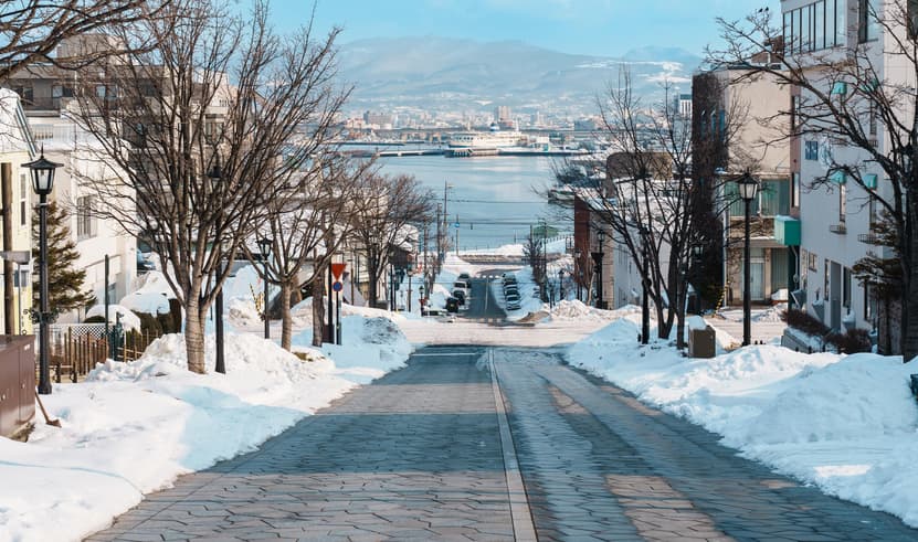 ทัวร์ญี่ปุ่น ฮอกไกโด 6 วัน 4 คืน ZGCTS-2606VZ เมืองฮาโกดาเตะ ภูเขาไฟโชวะ สวนสาธารณะโกเรียวคาคุ  เนินฮาจิมันซากะ บิน VJ (BKK)       