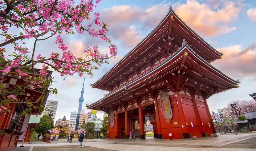 ทัวร์ญี่ปุ่น โตเกียว 6 วัน 4 คืน GO2NRT-TG094 พระใหญ่อุคิคุไดบุตซึ หอระฆังโทคิโนะคาเนะ ทุ่งดอกเนโมฟีล่า โกเทมบะพรีเมี่ยมเอ้าเล็ต บิน TG (BKK)      