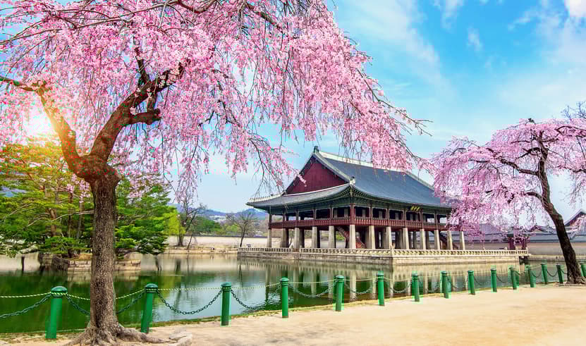 ทัวร์เกาหลี โซล 5 วัน 3 คืน WEKR_GSSB2026 เกาะนามิ เอเวอร์แลนด์ธีมปาร์ค อุทยานแห่งชาติซอรัคซาน วัดชินฮึงซา พระราชวังเคียงบกกุง บิน OZ (BKK)