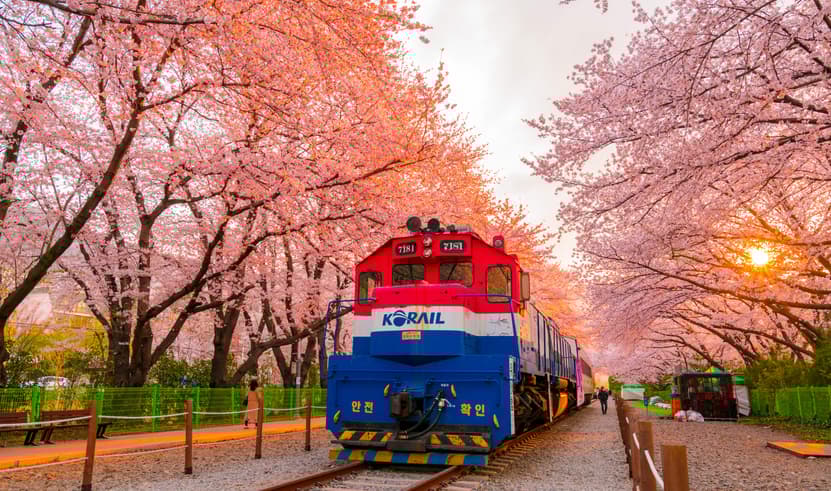 ทัวร์เกาหลี ซากุระ ปูซาน 5 วัน 4 คืน 60163 WDPUS005 เทศกาลจินแฮกุนฮังเจ วัดแฮดงยงกุงซา ตลาดนัมโพดง หมู่บ้านวัฒนธรรมคัมชอน บิน BX (BKK)     