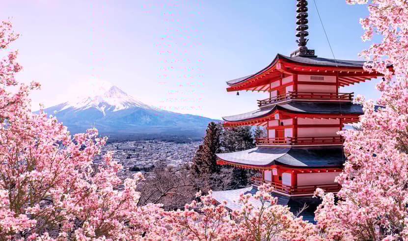 ทัวร์ญี่ปุ่น โตเกียว 6 วัน 4 คืน RJ-XJ116 วัดเซ็นโชจิ ย่านอูเอโนะ ย่านโอไดบะ ภูเขาไฟฟูจิ บิน XJ (BKK)   