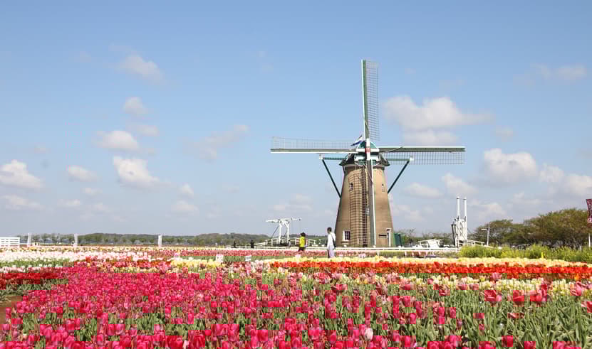 ทัวร์ญี่ปุ่น โตเกียว 6 วัน 4 คืน RJ-XJ117 ฟุรุซาโตะ ภูเขาทาคาโอะ สวนสันติภาพเฮวะ วัดไทเซกิจิ บิน XJ (DMK)