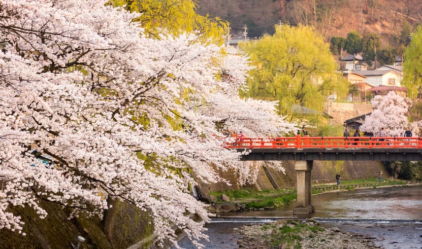 ทัวร์ญี่ปุ่น โอซาก้า นาโกย่า คานาซาวะ 6 วัน 4 คืน GO2NGO-TG078 หมู่บ้านชิราคาวาโกะ สวนเคนโระคุเอ็น พิพิธภัณฑ์ไดโนเสาร์ ปราสาทโอซาก้า บิน TG (BKK)      